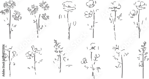 Set of 10 Hand-Drawn Outline Flower and Plant Sketch Icons Vector for Nature, Botanical, and Floral Design Elements