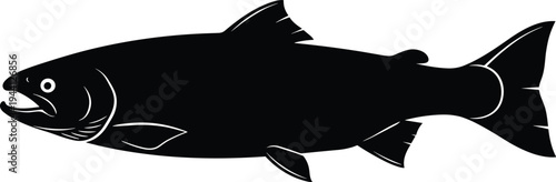 Black Salmon Fish Silhouette Vector Illustration, Isolated Wild Trout Graphic for Fishing Logos, Seafood Restaurant Branding, and Nature Conservation Design Projects