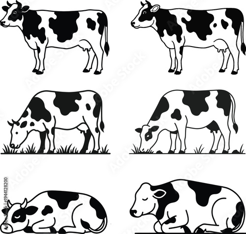 Dairy cow illustration set with spotted cattle in standing grazing and resting positions