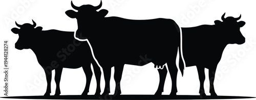 Group of three cows silhouette standing in row for agricultural landscape vector design