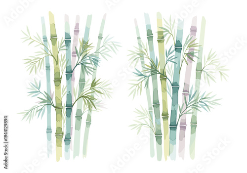 Delicate watercolor bamboo stalks with soft green and blue hues on a white background