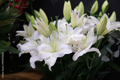 White Lily or Lilium Candidum freshly cut flowers in florist shop.
