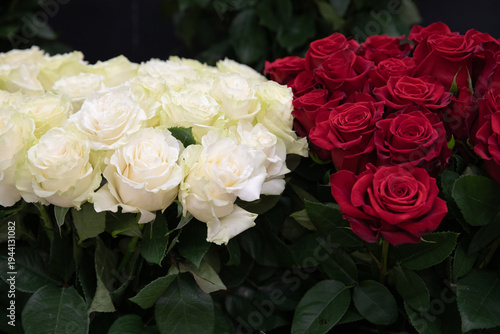 White and red roses freshly cut flowers at florist shop.