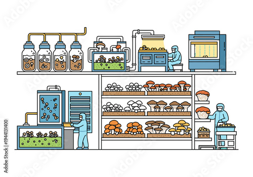 Mushroom cultivation process in a modern sterile laboratory and production facility