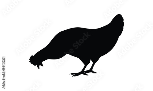 Black silhouette of a chicken vector