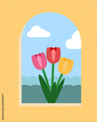 Window of colorful pink red yellow Tulips with fluffy cloud blue sky