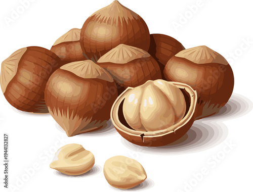 Create a realistic Hazelnuts vector art with white background..