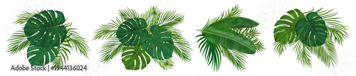 Tropical leaves composition set with palm fronds. Green realistic exotic jungle leaves for beach paradise decoration, summer invitations, travel designs. Vector illustration