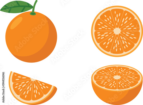 Fresh Orange Fruit Vector Set with Whole Orange Slice Half Citrus and Wedge Illustration for Healthy Food Juice Packaging and Vitamin C Nutrition Design