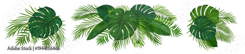 Realistic green tropical foliage set with exotic monstera and coconut fronds. Vibrant tropical palm leaves. Vector jungle greenery for Hawaiian summer party invitations and paradise designs