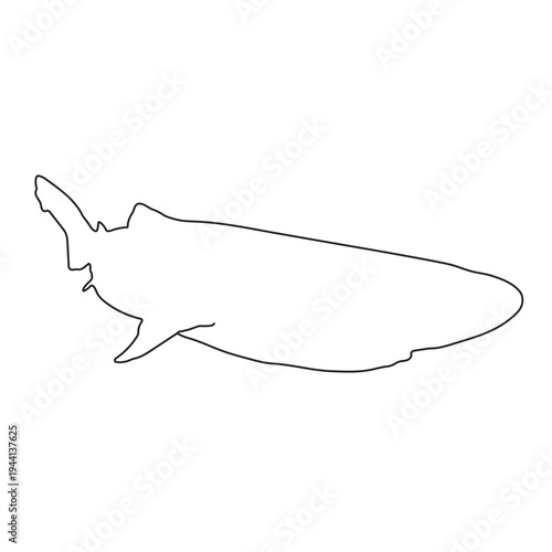 Greenland Shark Fine Line Drawing