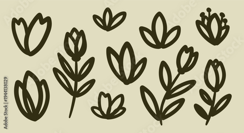 Hand Drawn Botanical Elements Collection Simple Floral Illustrations on Beige Background