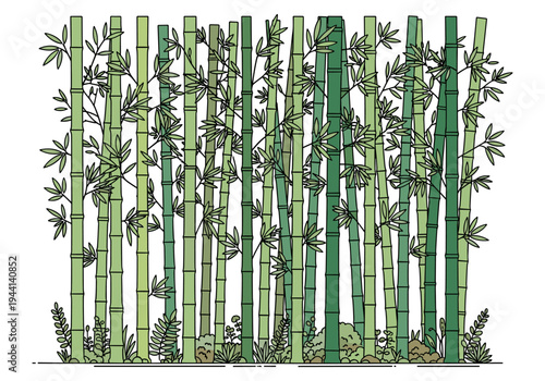 Stylized illustration of a dense bamboo forest with varying shades of green stalks and leaves
