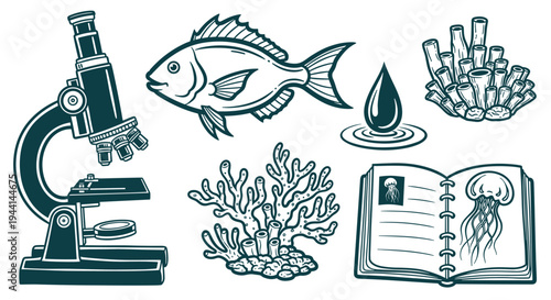 Marine Biology Research and Discovery Icons Set