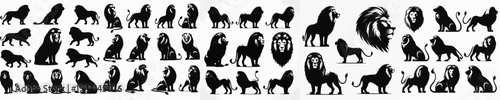 Vector set image silhouette of lion