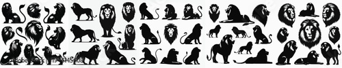 Vector set image silhouette of lion