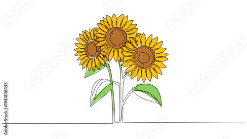 Continuous line art drawing of three sunflowers with bright yellow centers, summer, floral, and botanical vector illustration set