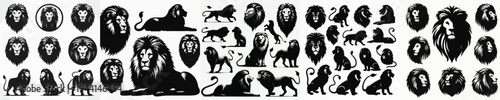 Vector set image silhouette of lion