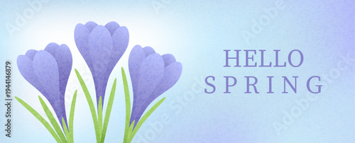 Hello spring! Vector illustration of crocuses. Design for wallpapers, posters, banners, postcards, printed materials, websites, and packaging.