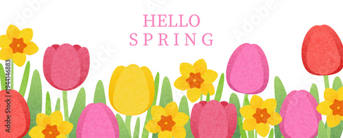 Hello spring vector illustration of multicolored tulips and daffodils on a white background. Design for wallpapers, posters, banners, postcards, printed materials, websites, and packaging.
