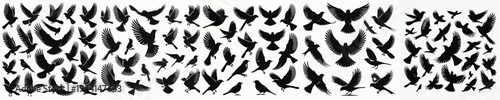 Vector set image silhouette of bird