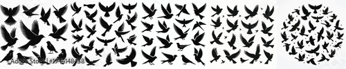 Vector set image silhouette of bird