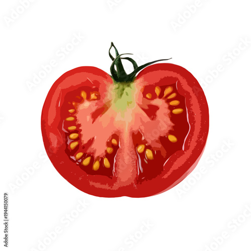 A ripe, juicy tomato slice showcasing its vibrant red color and seed pattern. isolated on white background, Vector