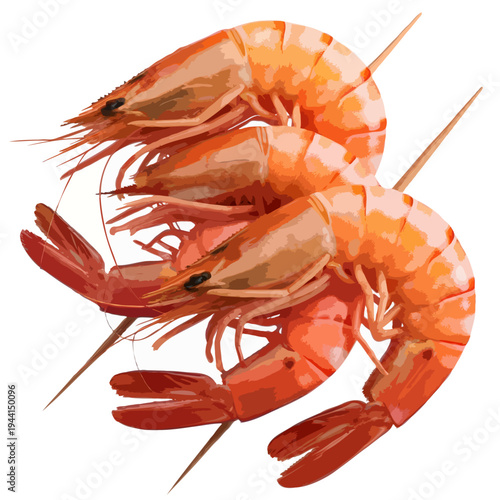 A close-up view of two cooked shrimp with their tails and heads intact isolated on white background, Vector