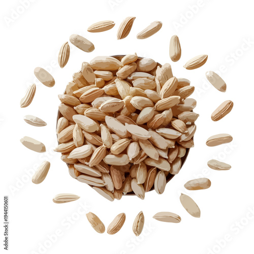 A close-up view of a pile of whole, uncooked wheat grains on a white background isolated on white background, Vector