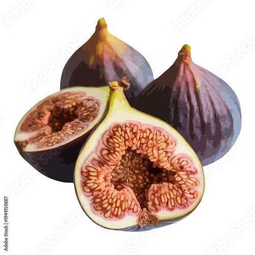 A close-up view of fresh figs with their unique texture and color. isolated on white background, Vector