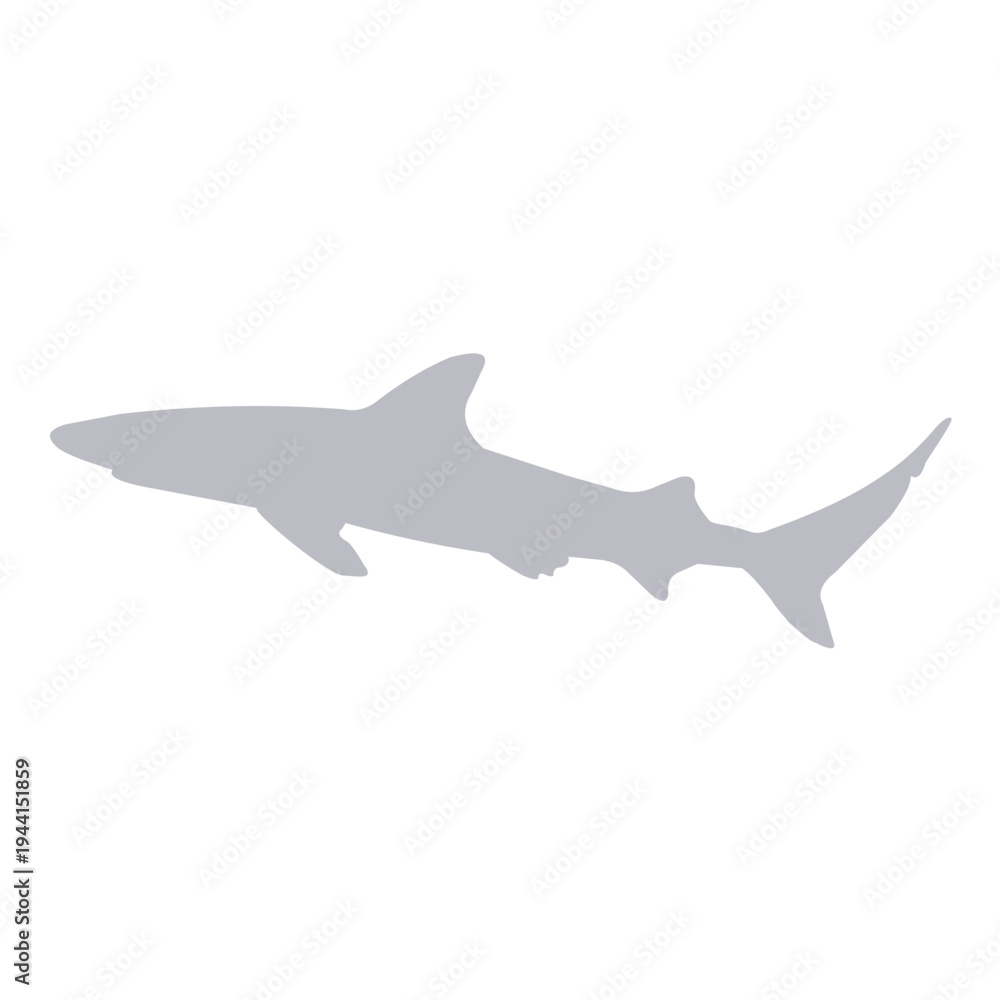 Fototapeta premium Blacktip Shark in Color Silhouette
