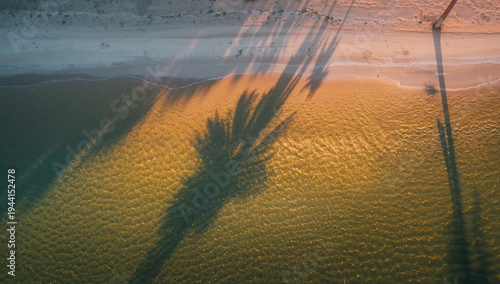 Aerial View of Palm Tree Shadows on Serene Beach at Sunset