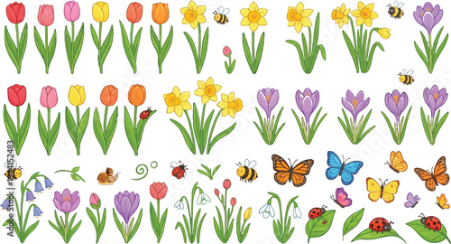 Set spring garden plants, flying insects and butterflies, collection blooming tulips and daffodils, purple crocuses, ladybugs and bees with leaves