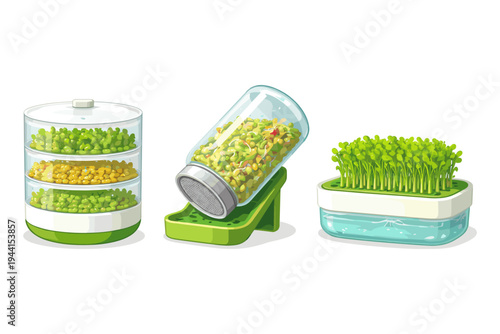 Various methods for sprouting seeds at home, showcasing different germination equipment and stages