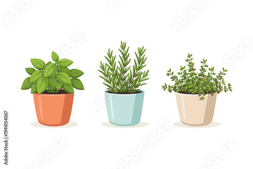 Three potted herbs: basil, rosemary, and thyme, displayed in colorful pots on a white background