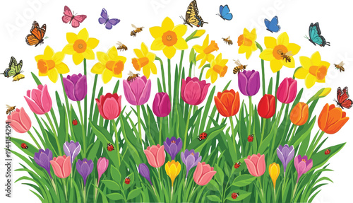 Dense spring floral meadow with colorful tulips and daffodils vector illustration