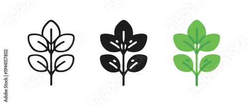 Minimalistic leaves in monochrome and color variations
