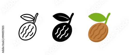 Nutmeg icon set: outline, solid, and colorful variations for design