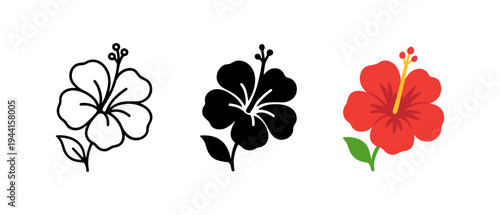 Floral hibiscus designs: outline, silhouette, and colorful variants