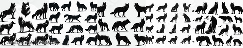 Vector set image silhouette of wolf