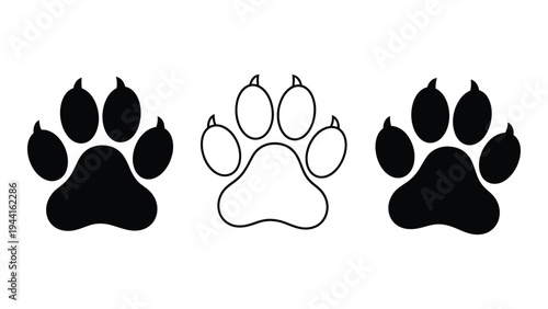 Detailed analysis of canine paw prints in various formats