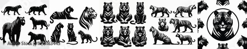 Vector set image silhouette of tiger