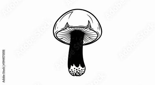 Black and white ink drawing of a mushroom with gills and textured stem