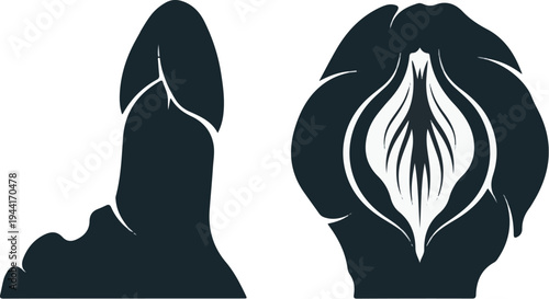 Stylized abstract representations of male and female reproductive anatomy