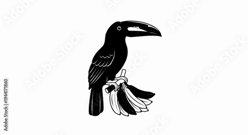 Black toucan perched on a branch with a bunch of bananas