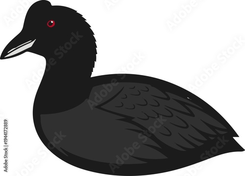 Simple cartoon drawing of a black water bird with red eyes and a dark beak