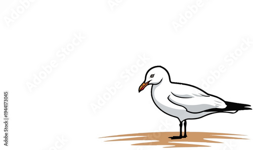 A white seabird with black wing tips stands on sandy ground