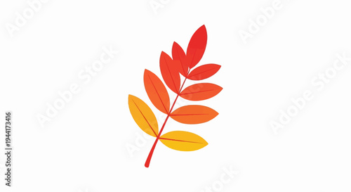 A single sprig of leaves with a gradient from yellow to red