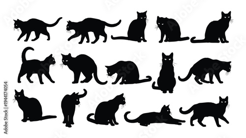 Collection of feline silhouettes in various poses and orientations