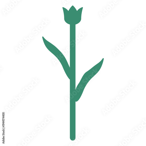 식물 꽃 줄기 일러스트